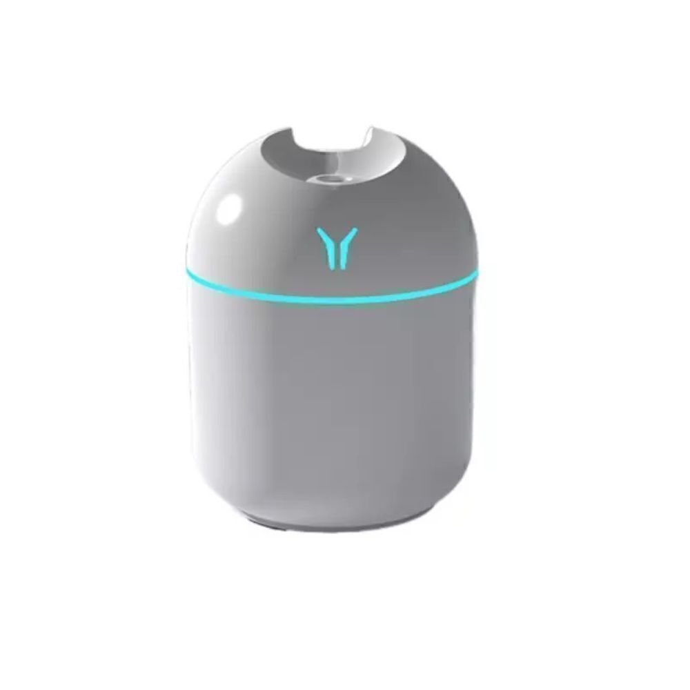 Humidifier   